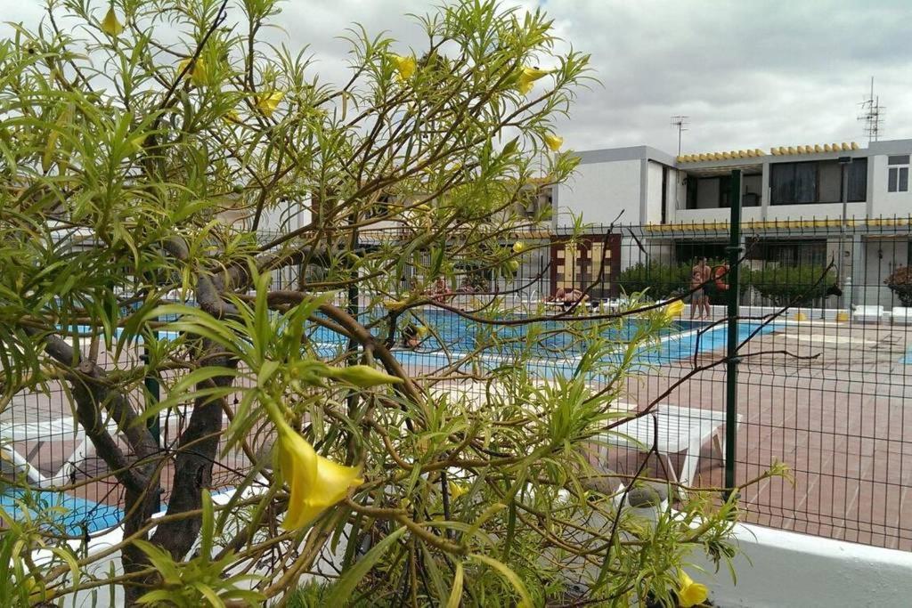 Apartamento Drago