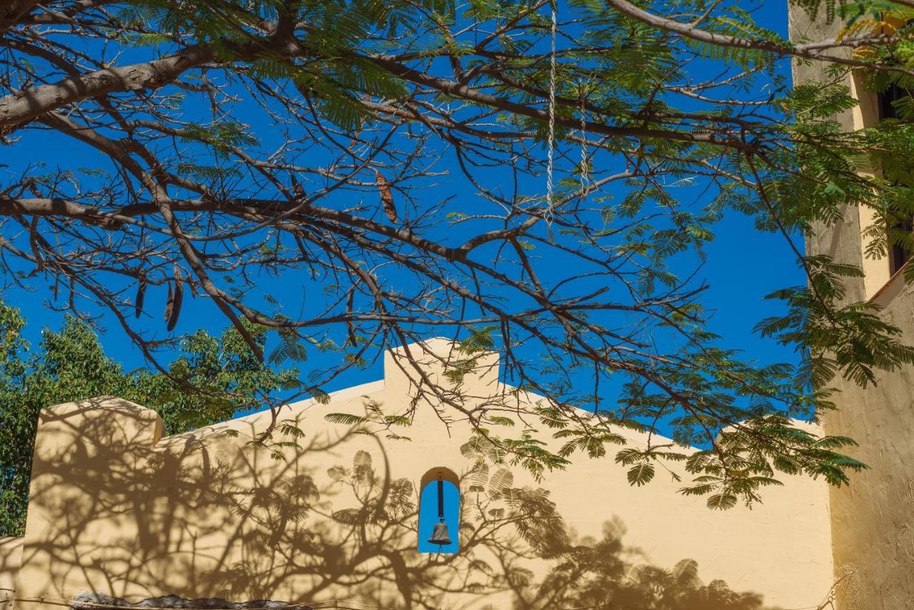 Rural Ariadna Country house Guimar