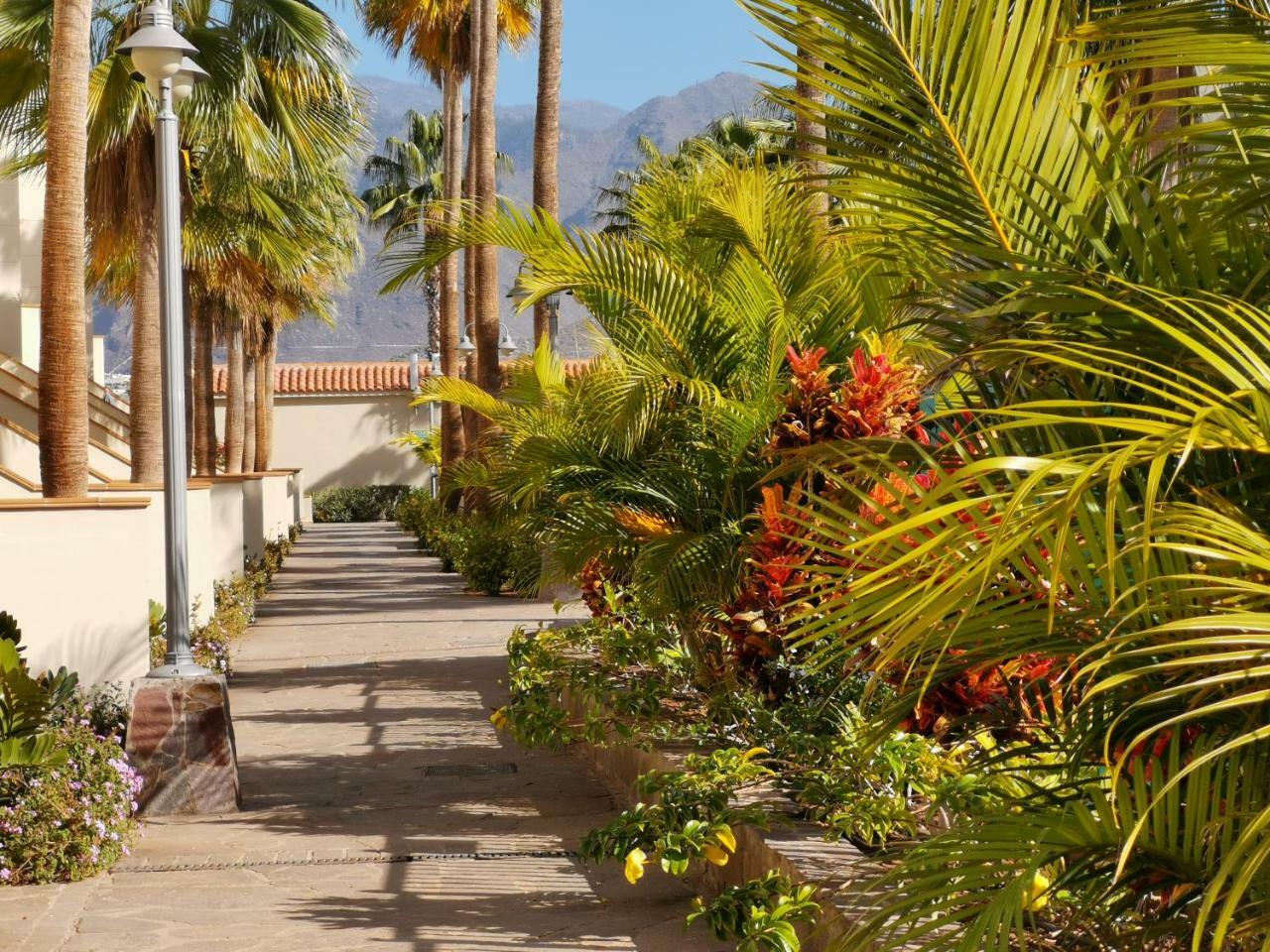 Apartamento Bellamar Costa Adeje (Tenerife)