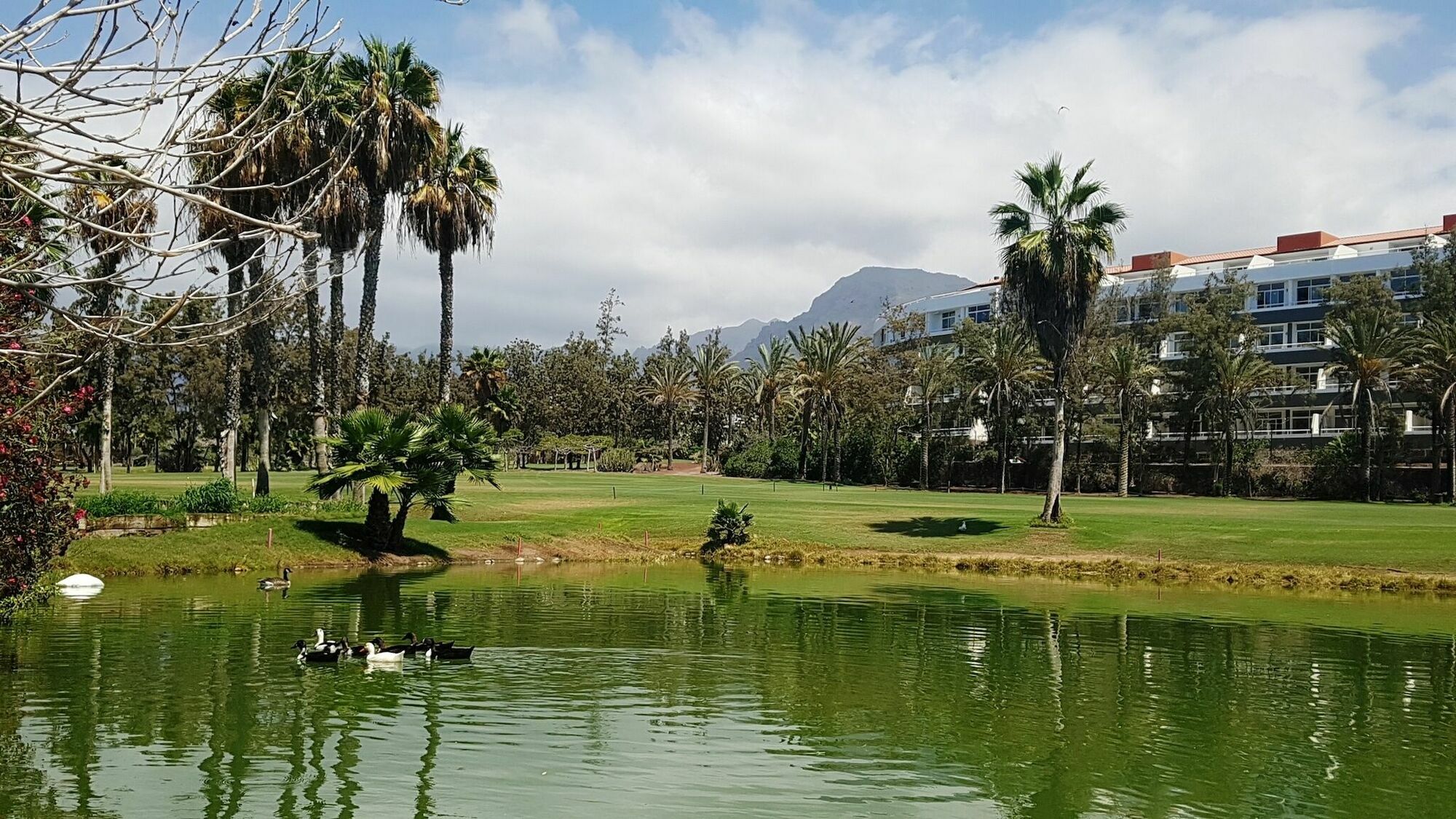 Gara Golf & Playa de las Américas