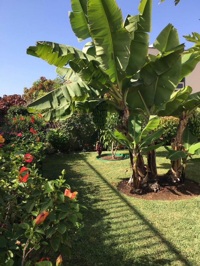 La Quinta Garden Holiday home *