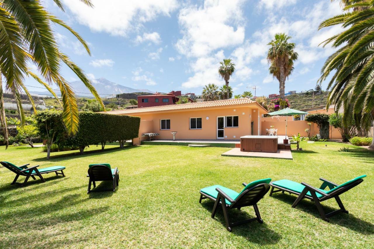 La Gaviota - Palmeras