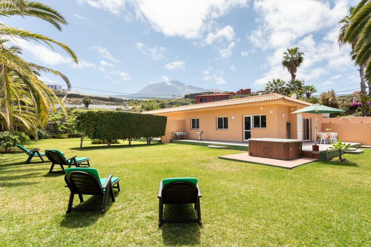 La Gaviota - Palmeras