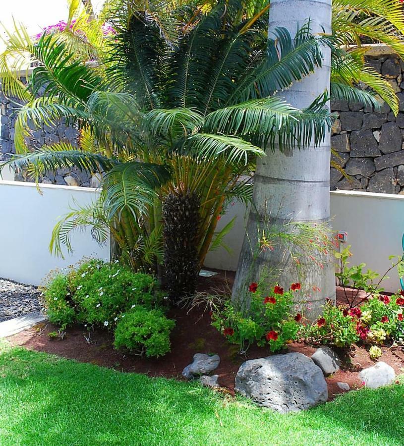 House Sea View Private Garden, 5 People, Optical Fiber Сasa de vacaciones Puerto de la Madera