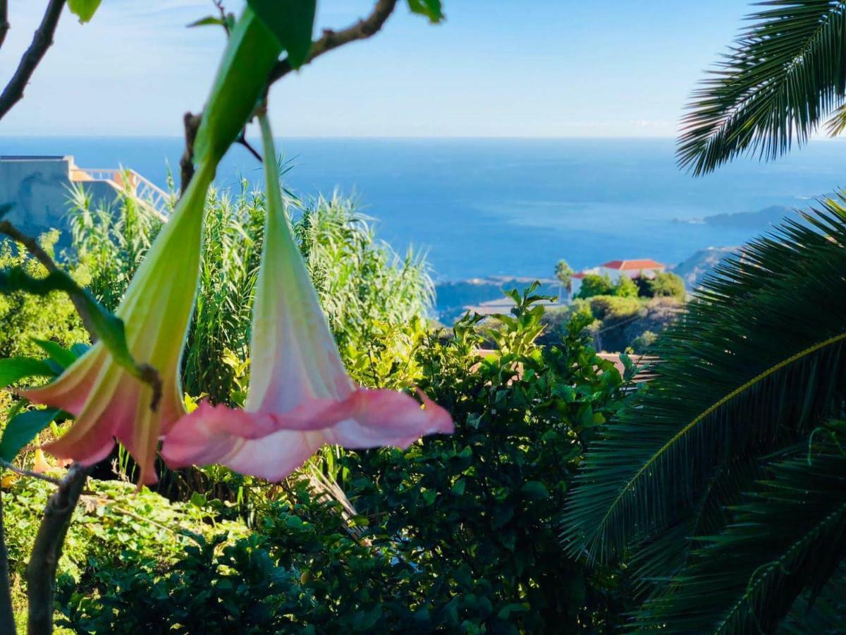 Casa Ida * Garachico (Tenerife)