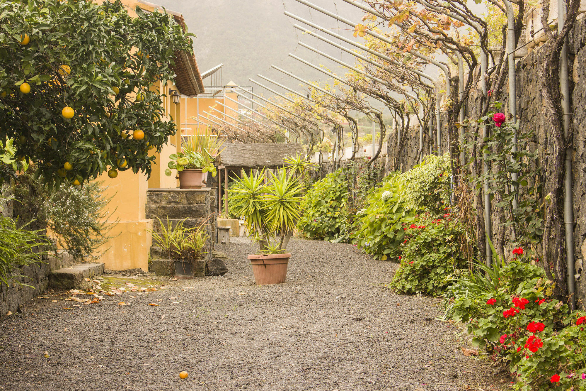 Villa La Tanquera Los Realejos