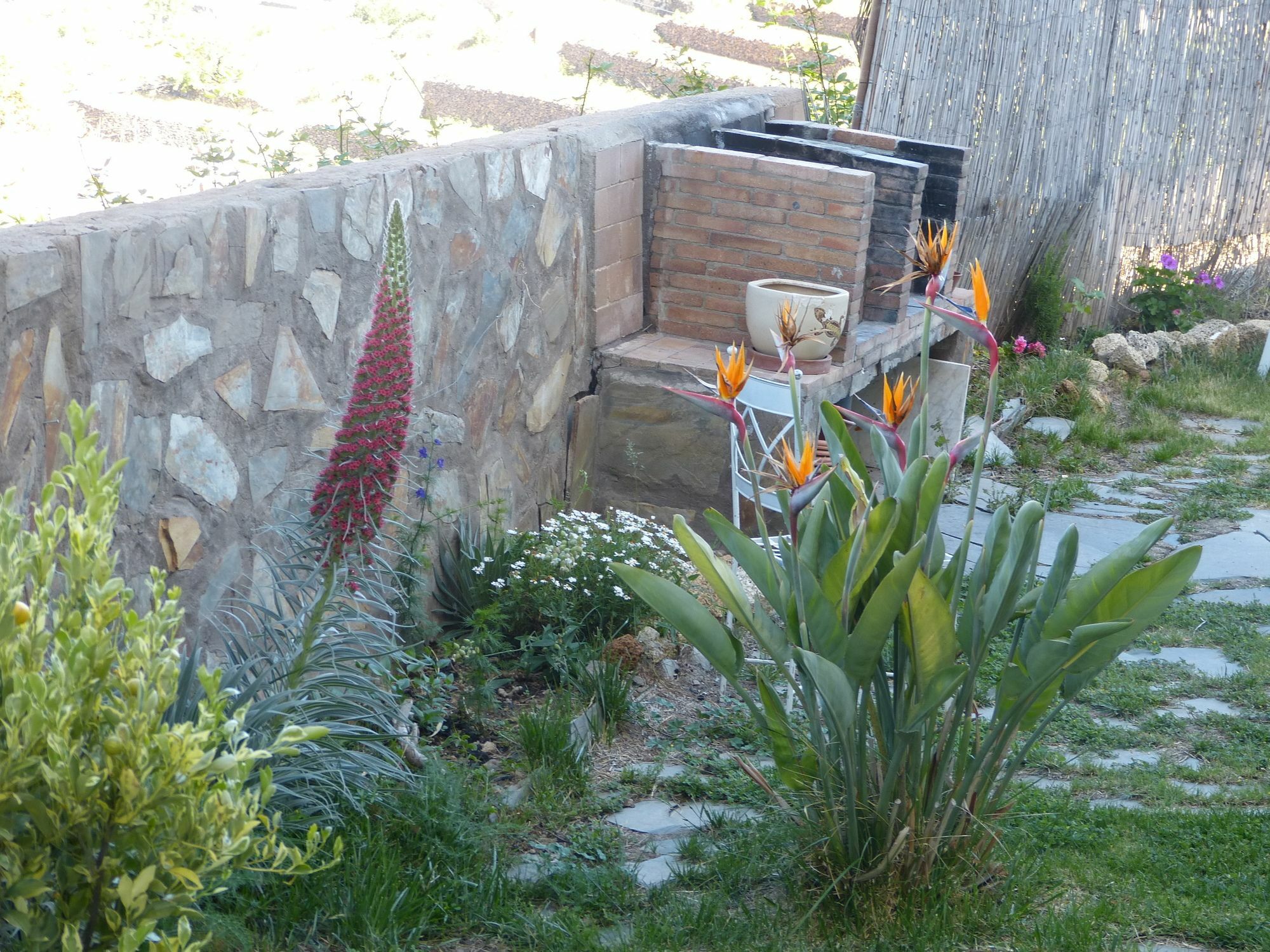 Apartamento Self Catering Vilaflor