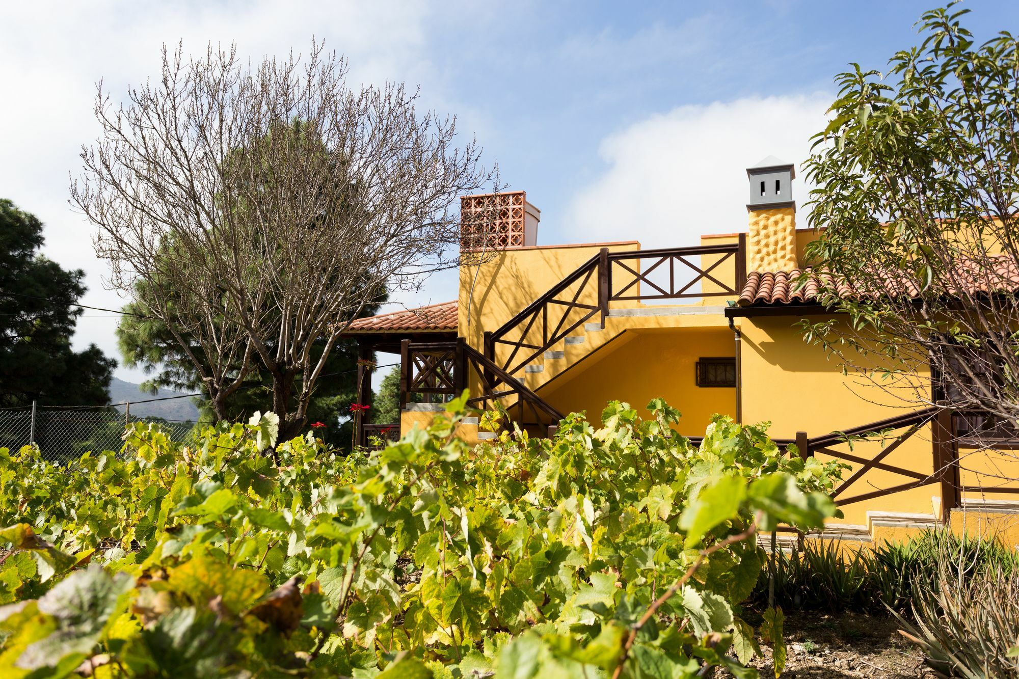 Casa Yaya * Icod De Los Vinos