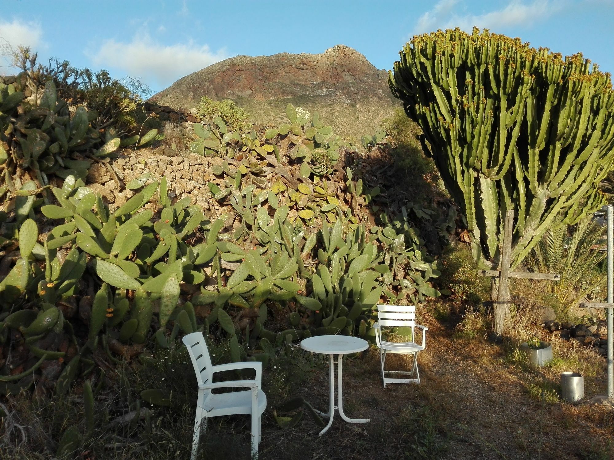 Patio Canario * Arona (Tenerife)