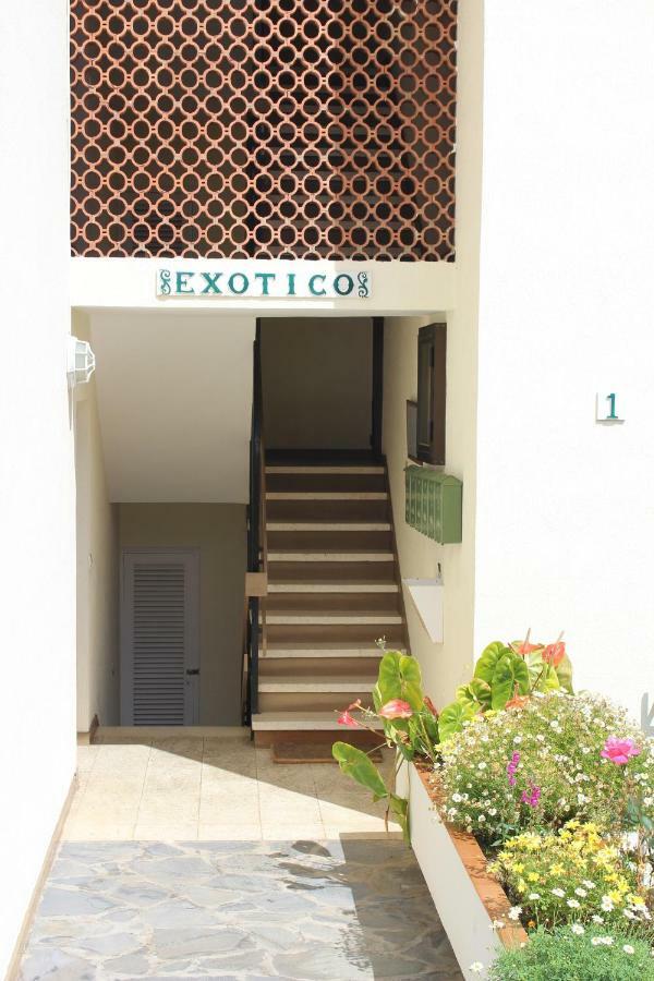 Apartment Holidaynorthtenerife Exotic Los Realejos