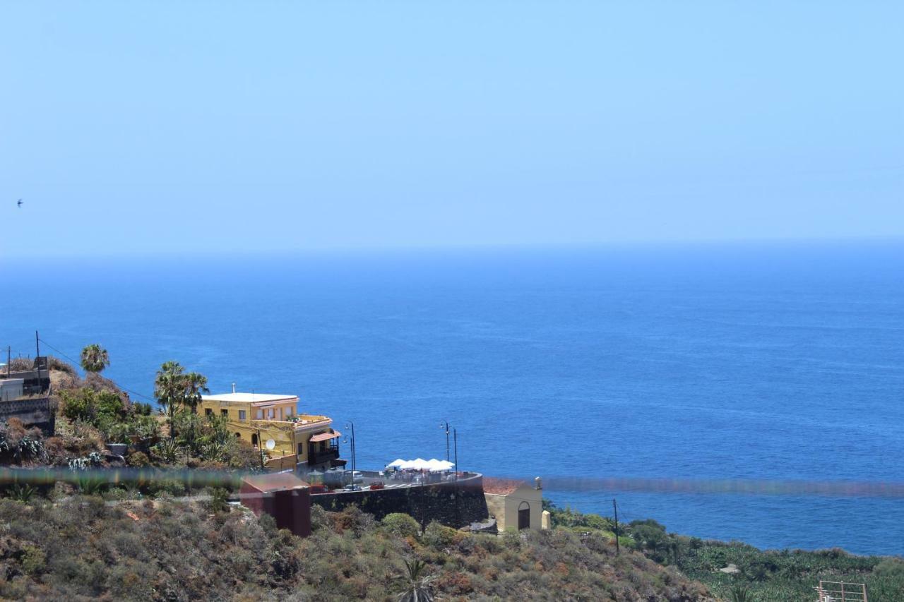 Holidaynorthtenerife Exotic