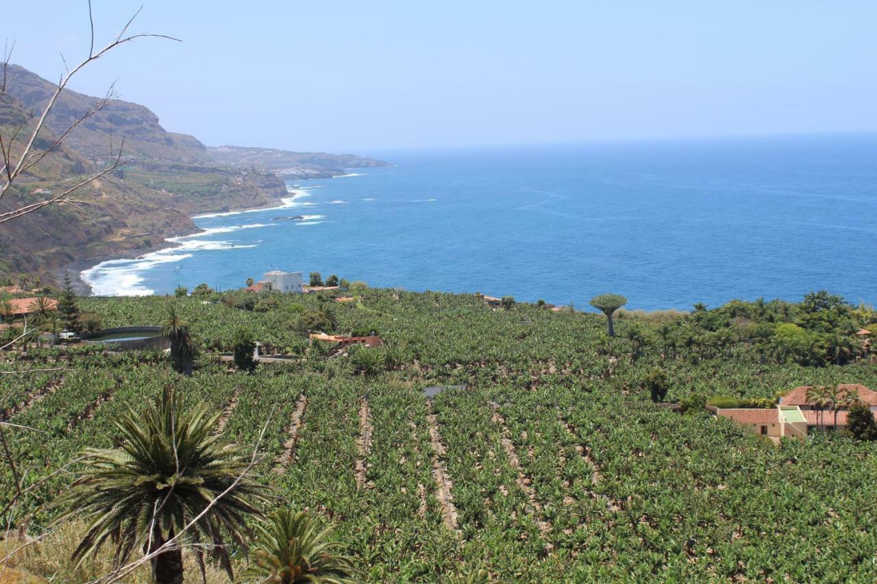 Holidaynorthtenerife Exotic Apartment