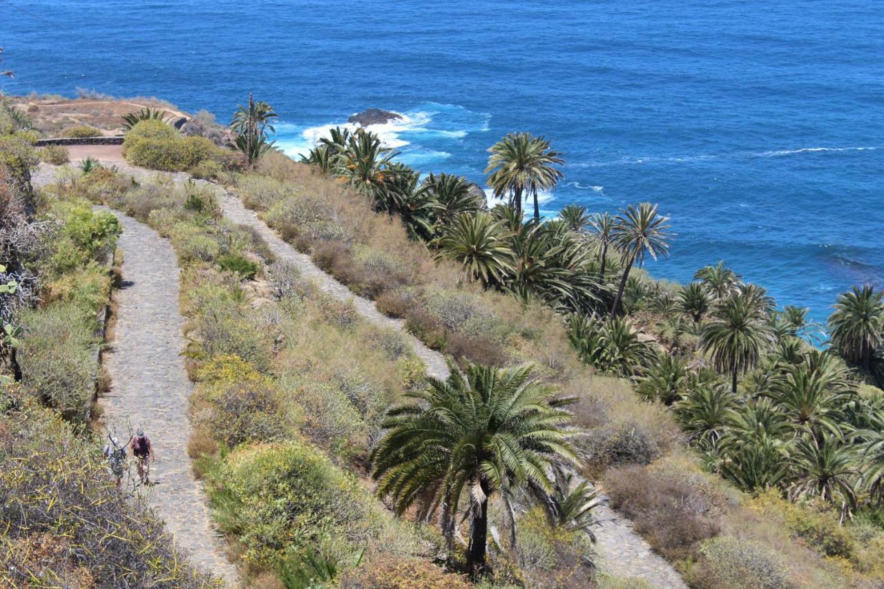 Holidaynorthtenerife Exotic Los Realejos
