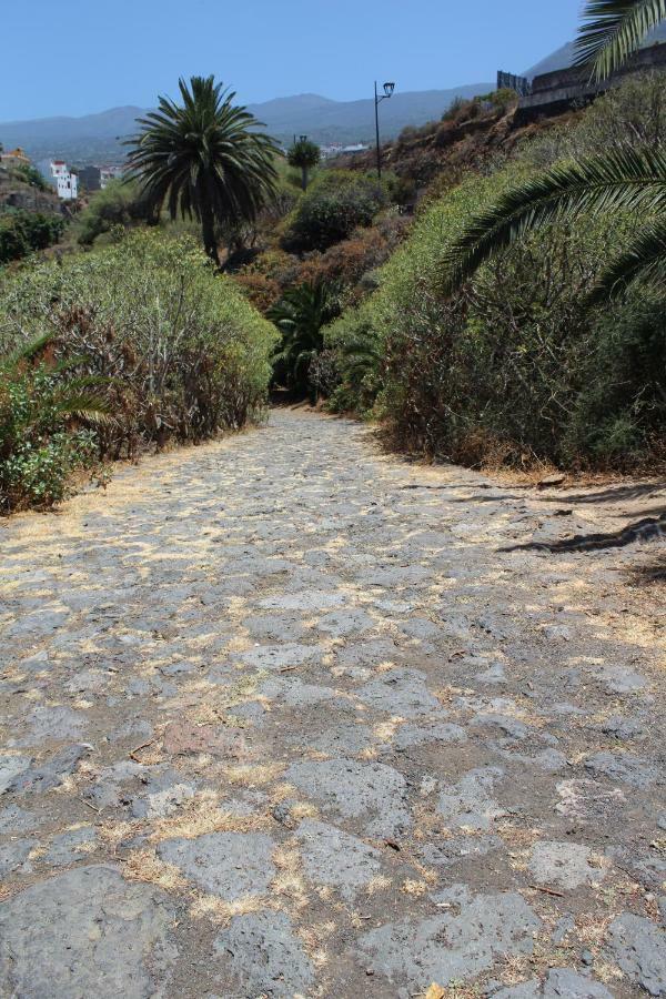 Holidaynorthtenerife Exotic Los Realejos