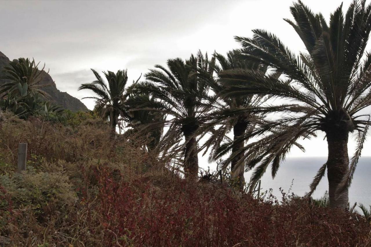 Oasis Atlantico: Rincon Secreto Al Pie De Senderos Azano