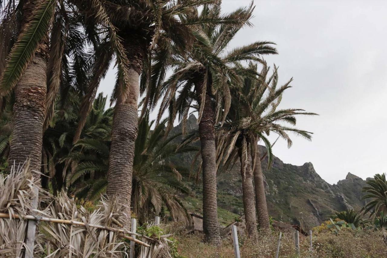 Oasis Atlantico: Rincon Secreto Al Pie De Senderos Holiday home *