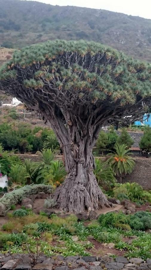 Floris's Los Cristianos (Tenerife)