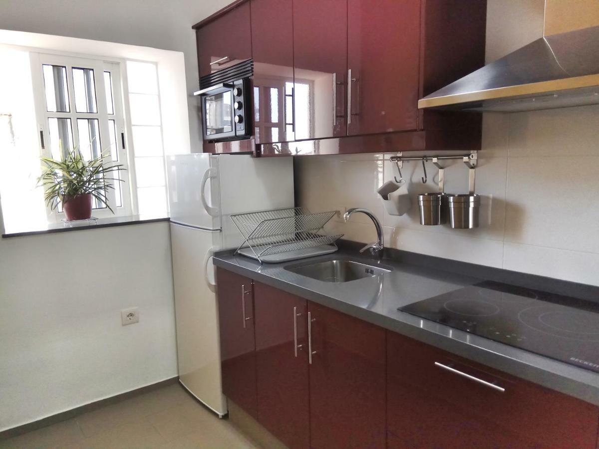 Phoenix Canariensis Apartment