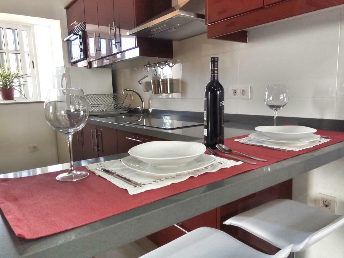 Phoenix Canariensis Apartment