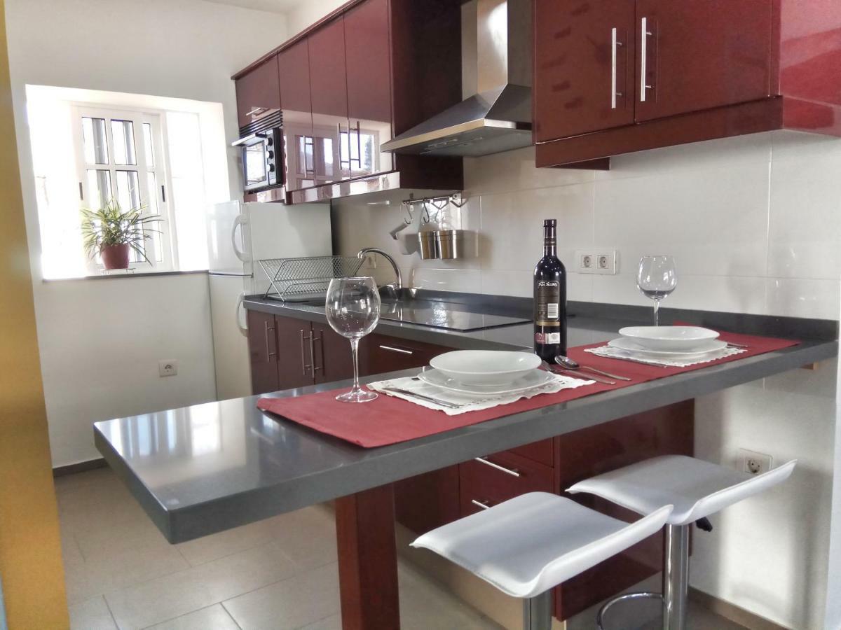 Phoenix Canariensis Apartment
