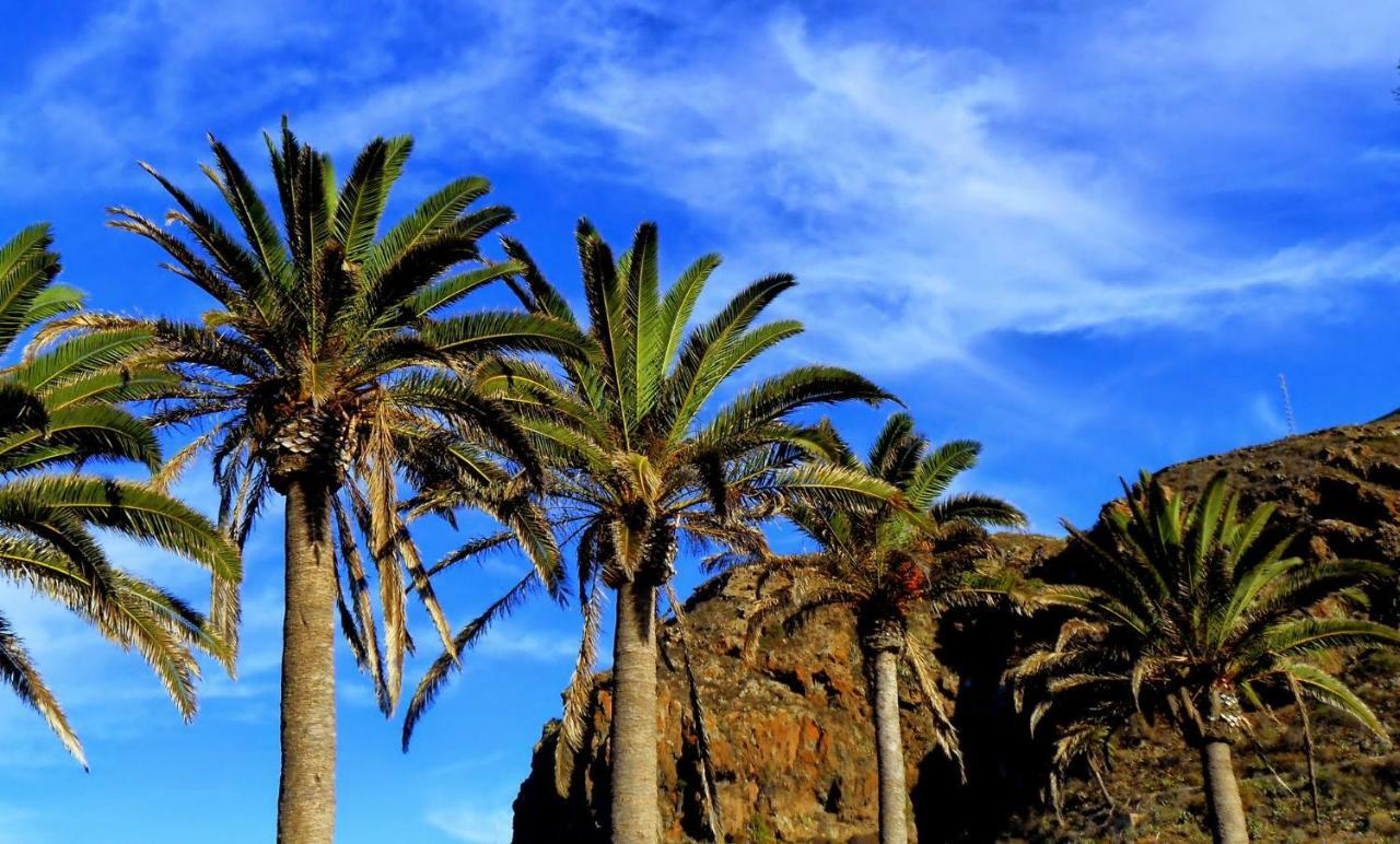 Apartment Phoenix Canariensis San Juan de la Rambla