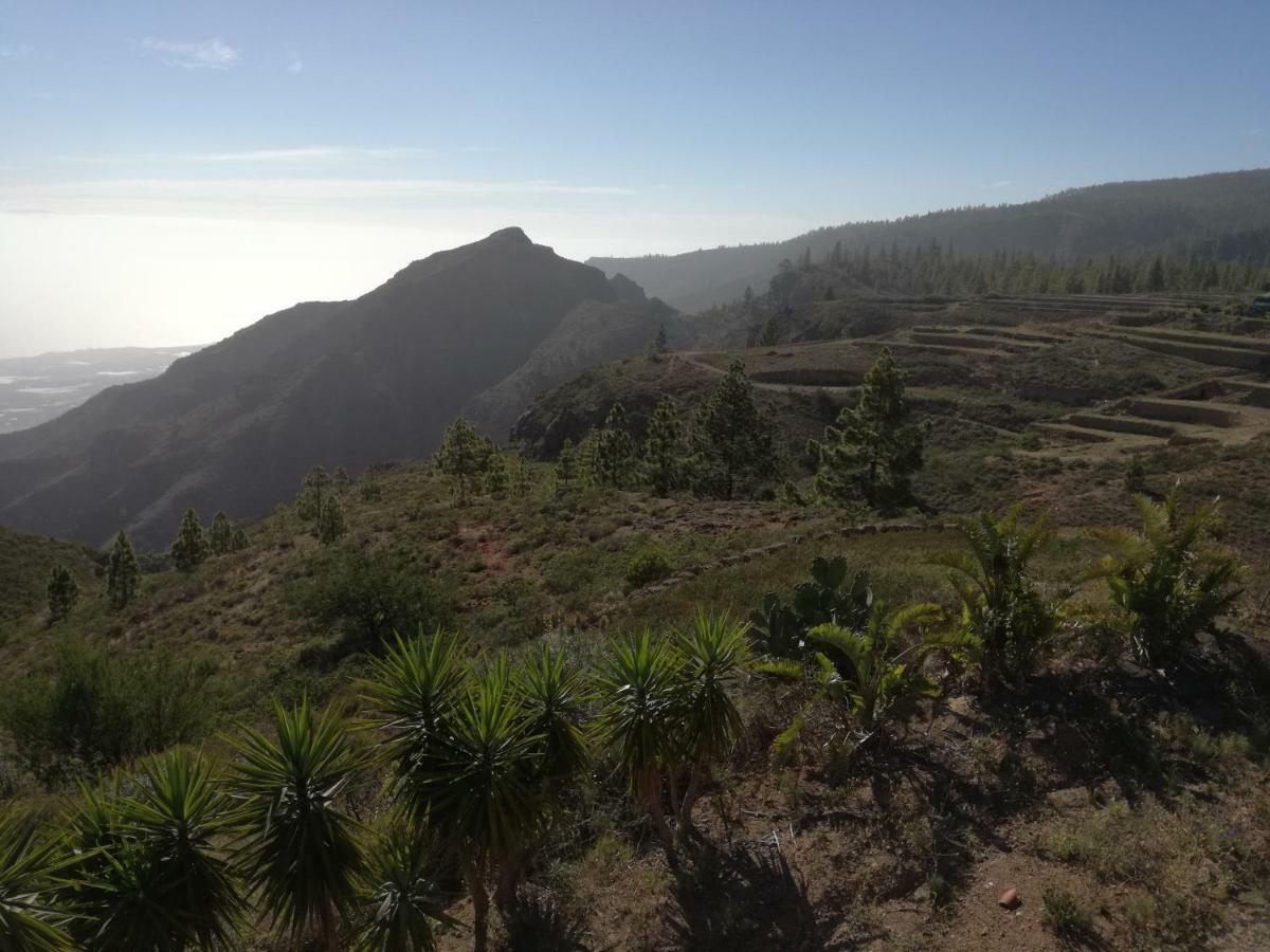Paraiso * Ifonche