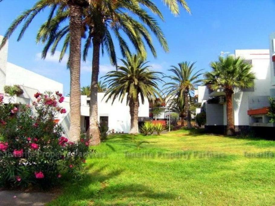 Frontera Primavera