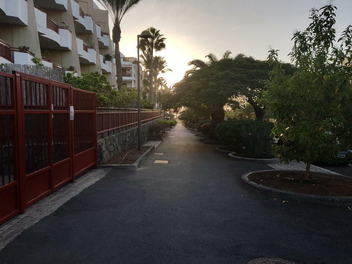 Ruisenor En * Palm-mar