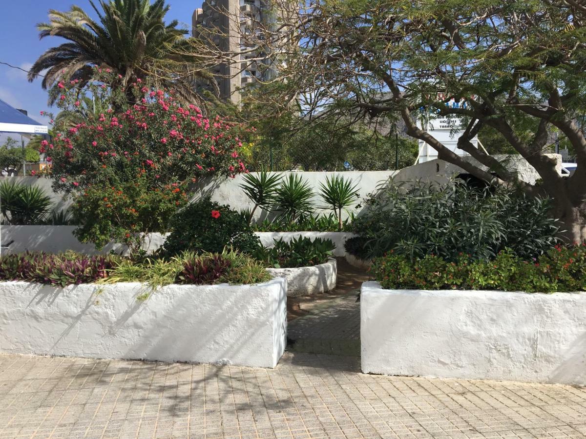 Apartment Rosamar Los Cristianos (Tenerife)