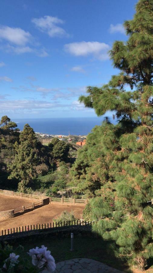 Riendas Vivas Apartamento La Guancha