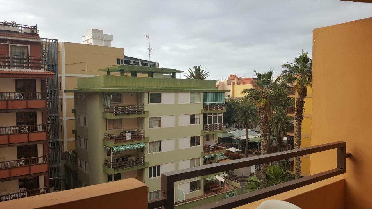 Apartamento Girasol Ii *
