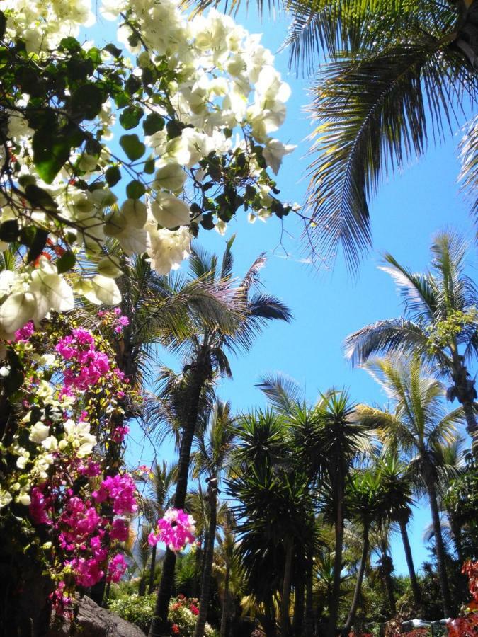 Colina Blanca Tenerife. Costa Adeje (Tenerife)
