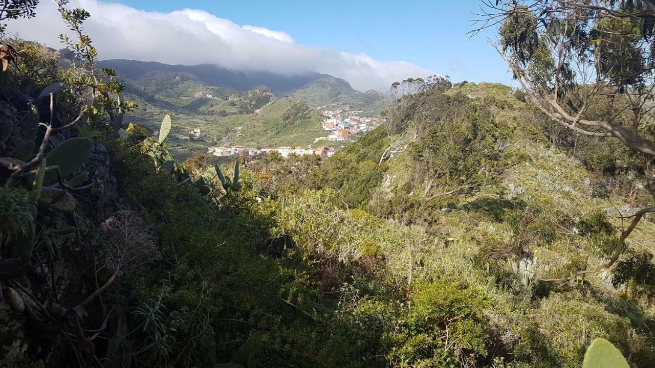 La Casita De Omar En El Corazon De Anaga Y La Laguna