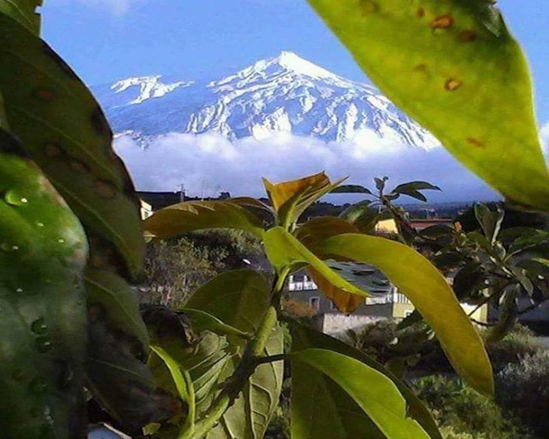 Finca La Alejandria Séjour à la campagne Fasnia