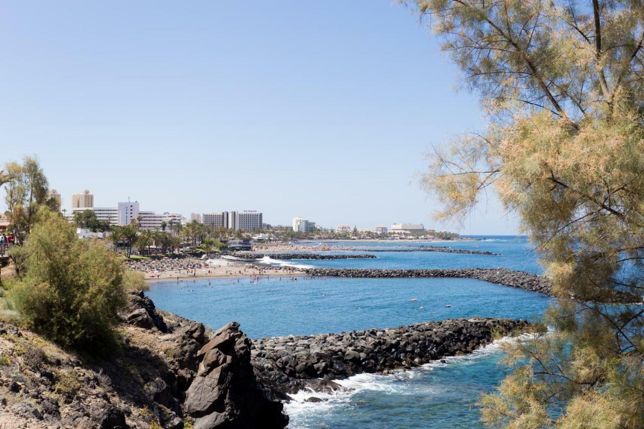 Primera Línea De Mar ! Wuifi Y Parking Gratis!