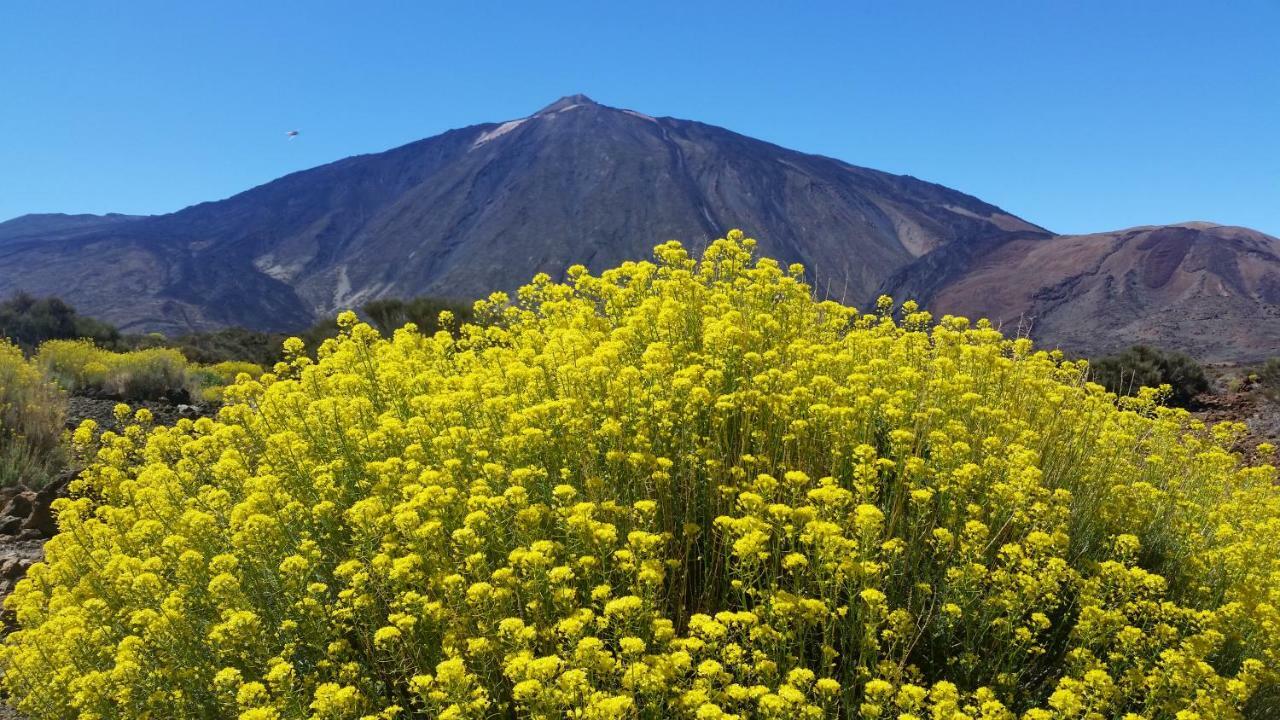 Sissi Boutique - The Terrace Between Ocean And Teide