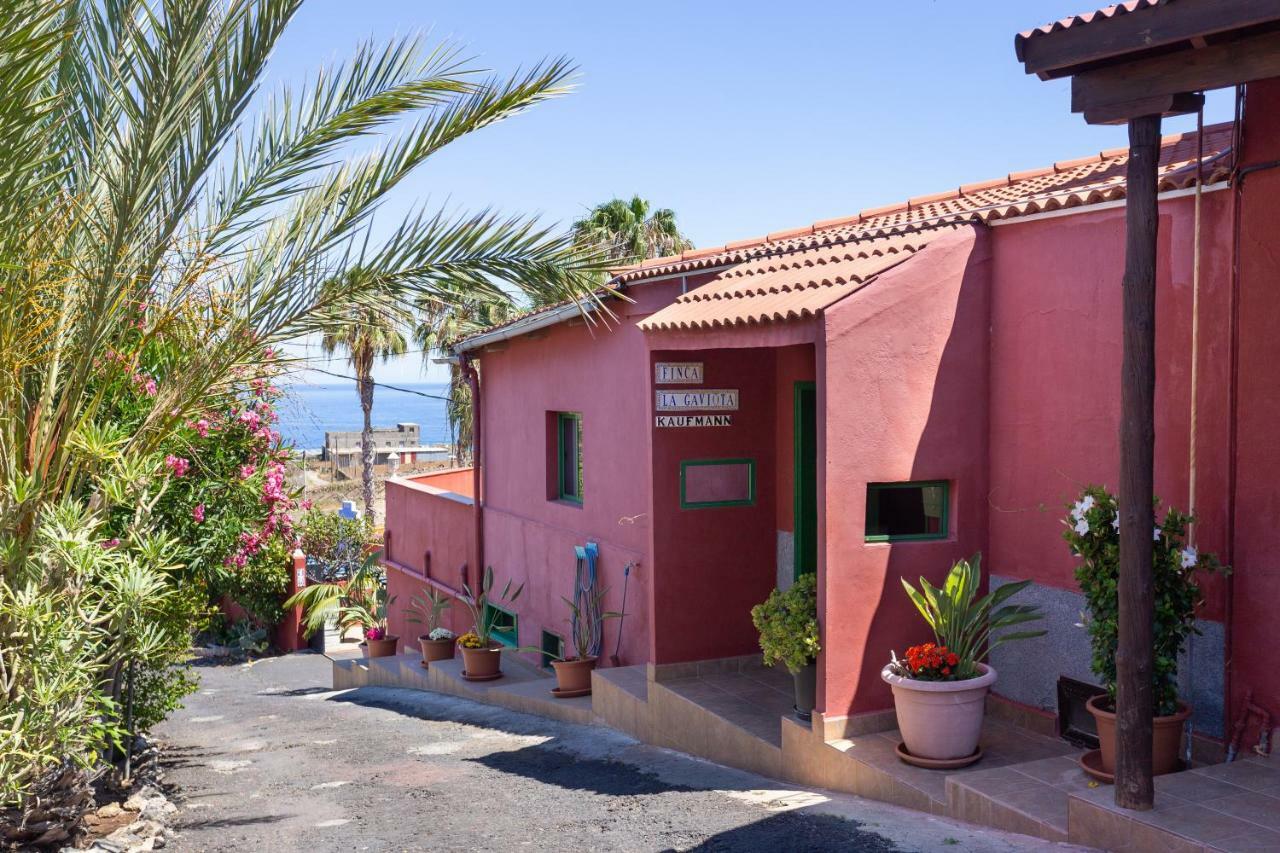 Appartement La Gaviota - El Rincon