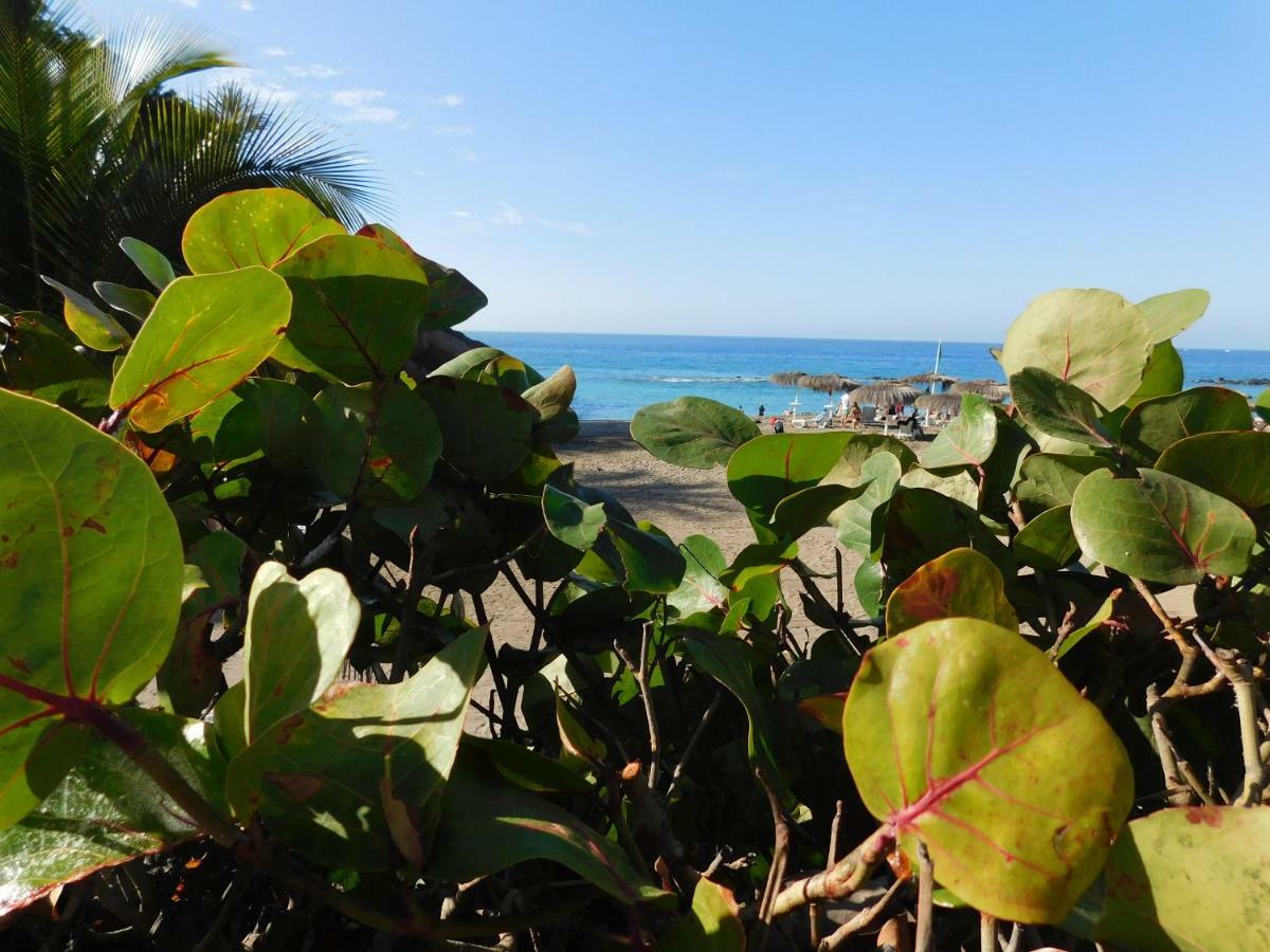 Apartamento Brisas Del Mar Costa Adeje (Tenerife)