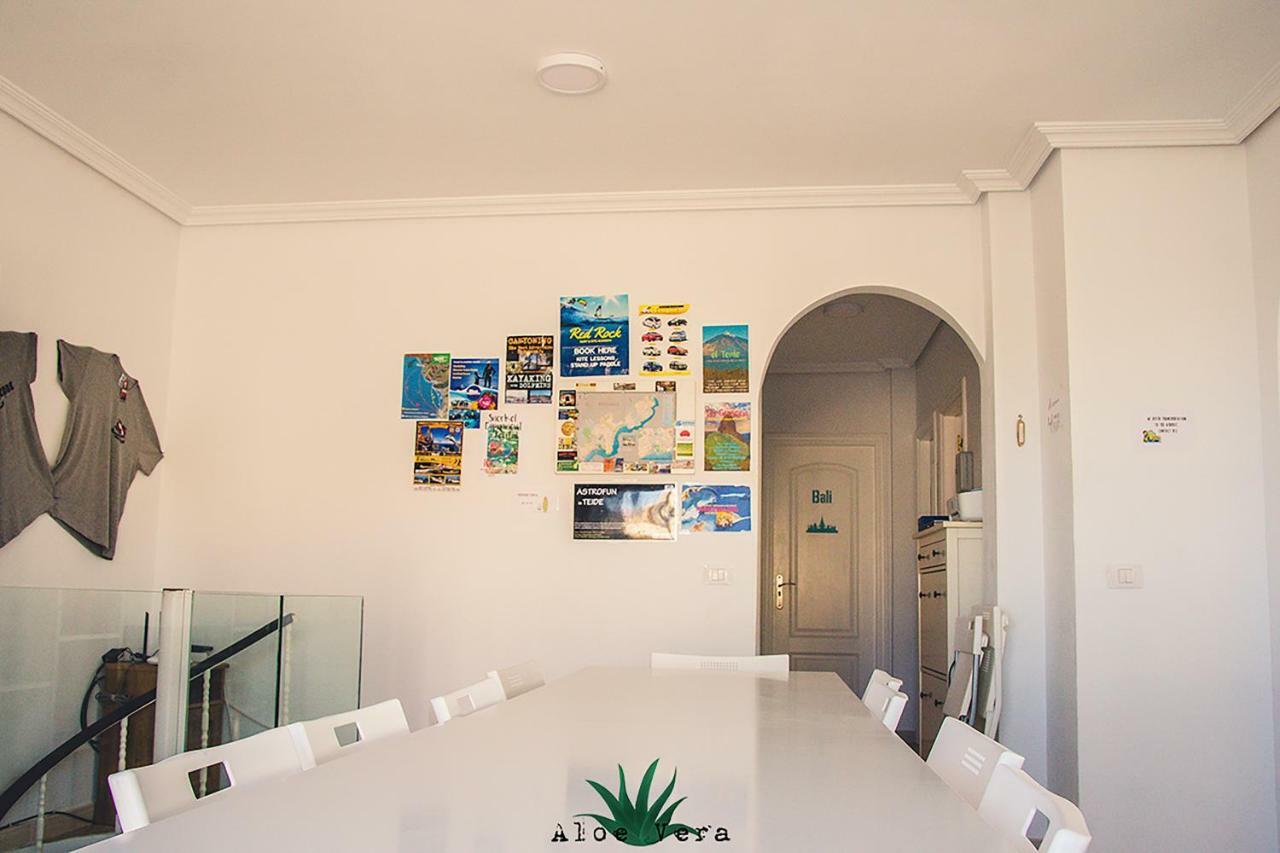 Hostel Aloe Vera Shared House
