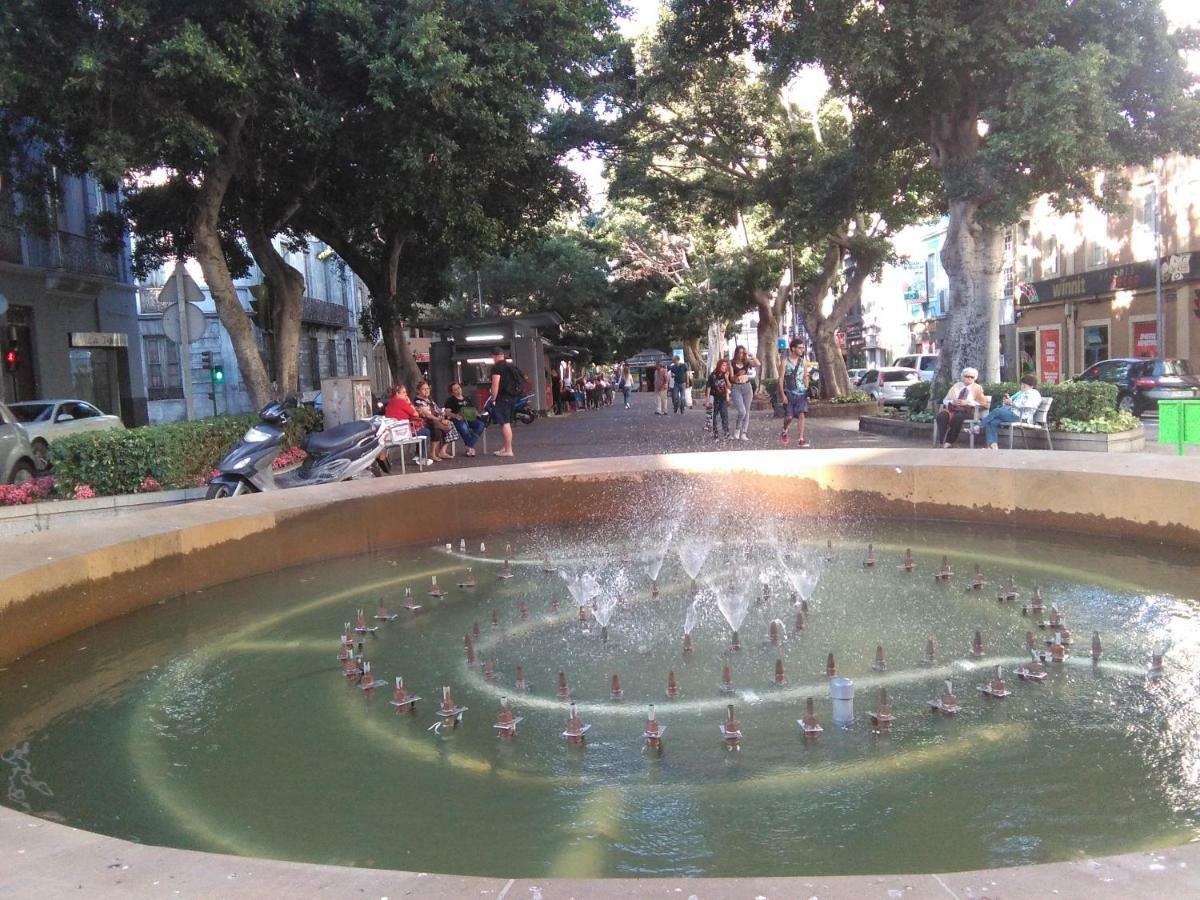 Lalas Ramblas Estudio Santa Cruz Tenerife