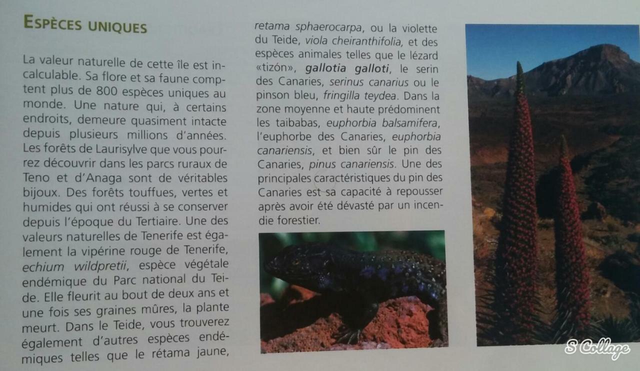 Dulce Maikel Hébergement de vacances