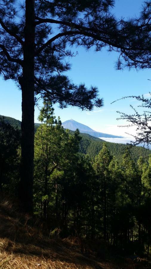 Homestay Con Bano Privado