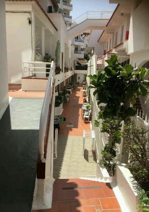 Orquidea Del Sur Apartment