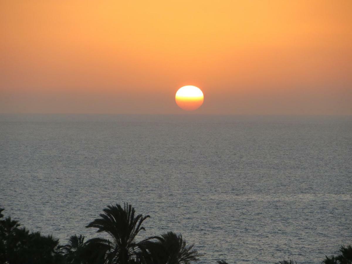 Ocean View * Costa Adeje (Tenerife)
