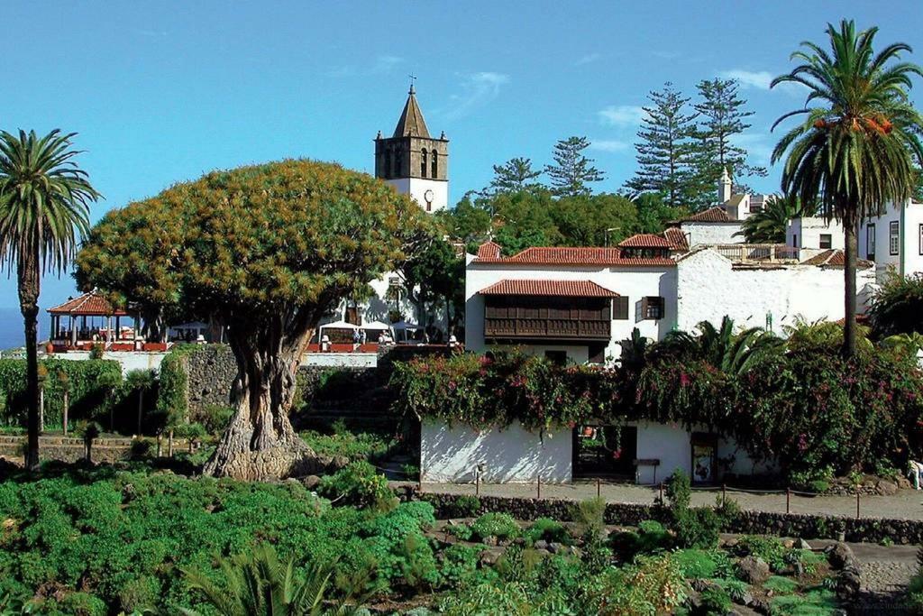 Monis Rooms,apartment Holidays Green Tenerife Playa San Marcos * Icod De Los Vinos