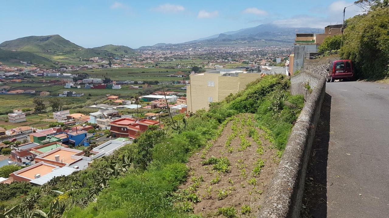La Casita De Omar En El Corazon De Anaga Y La Laguna