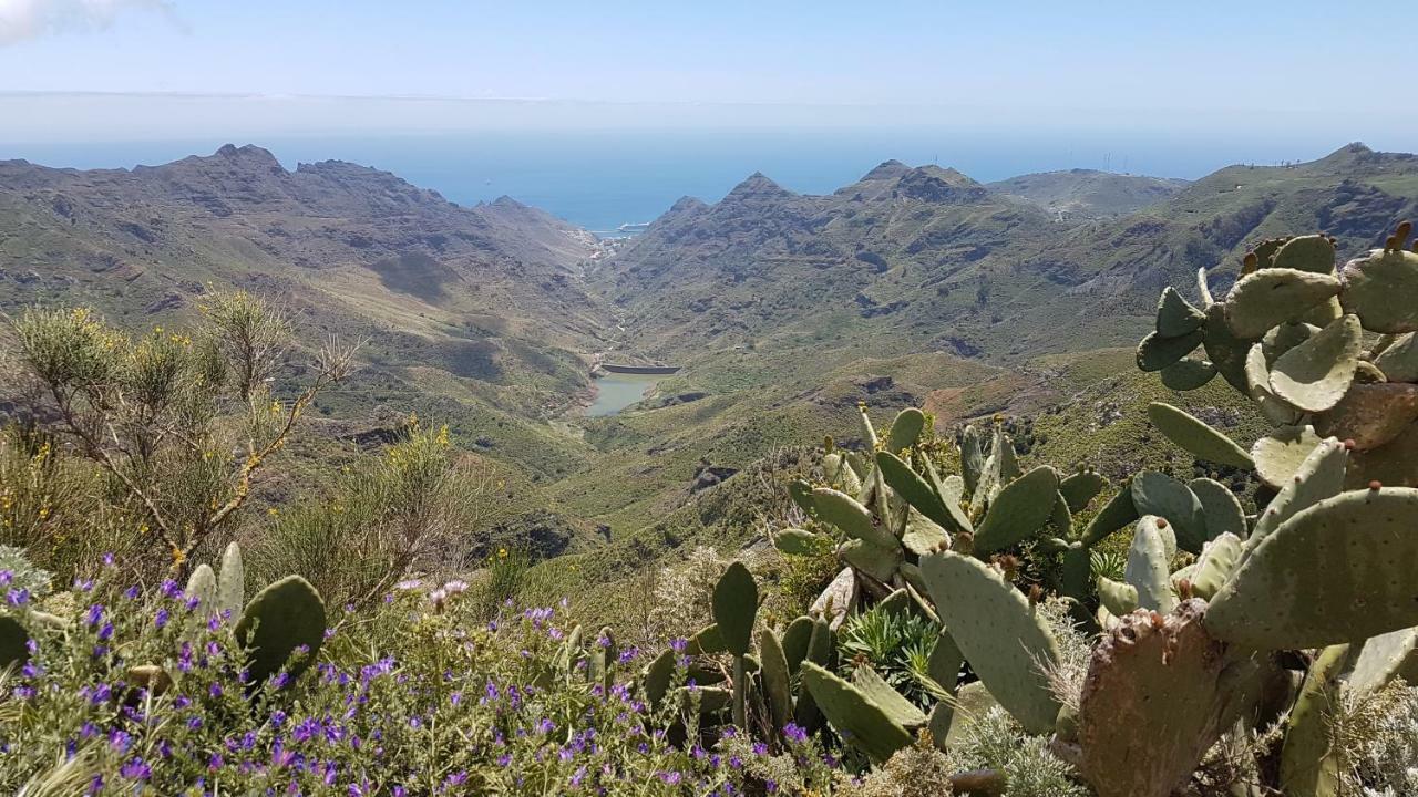 La Casita De Omar En El Corazon De Anaga Y La Laguna *