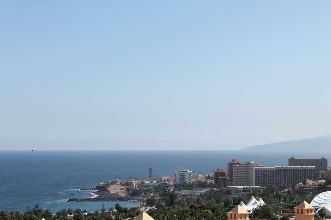 Azalea - * Puerto de la Cruz (Tenerife)