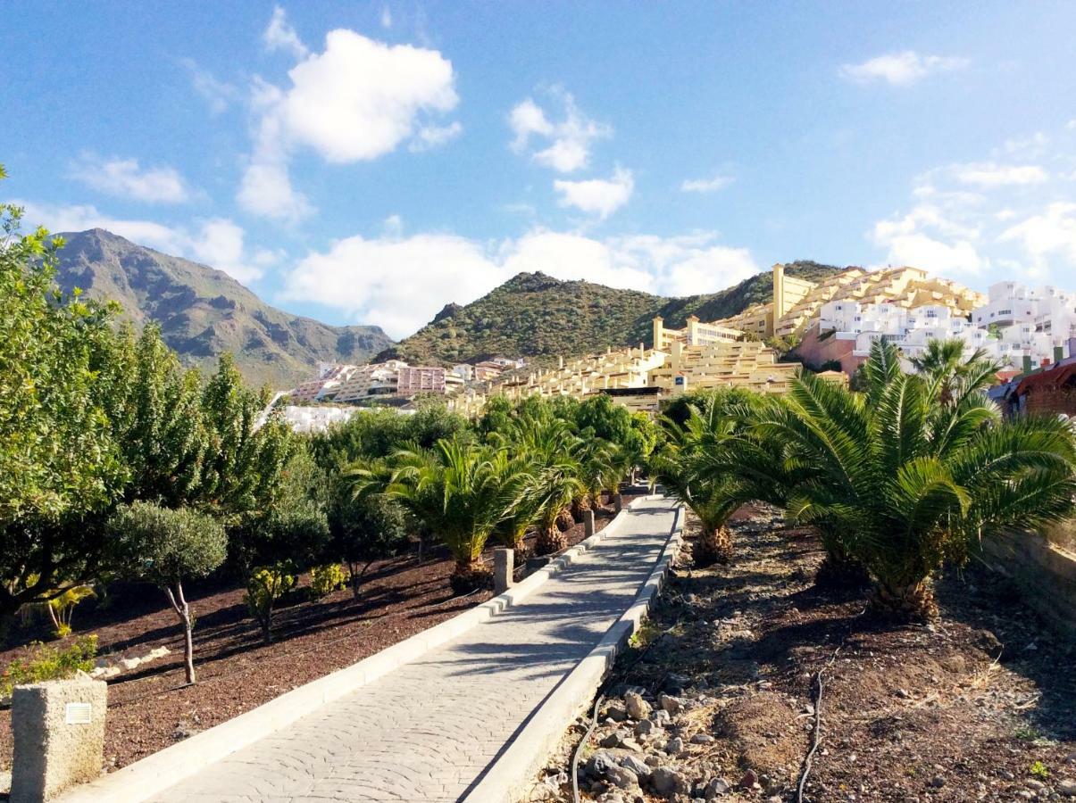 Canarias 310 Appartement