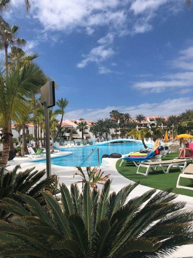 Wonderland With The Best Swimming Pool In Park S Iii * Playa de las Americas (Tenerife)